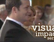 Visual Impact Series: Sample Curriculum for Groups