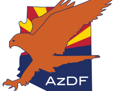 Arizona Desert Falcon Logo